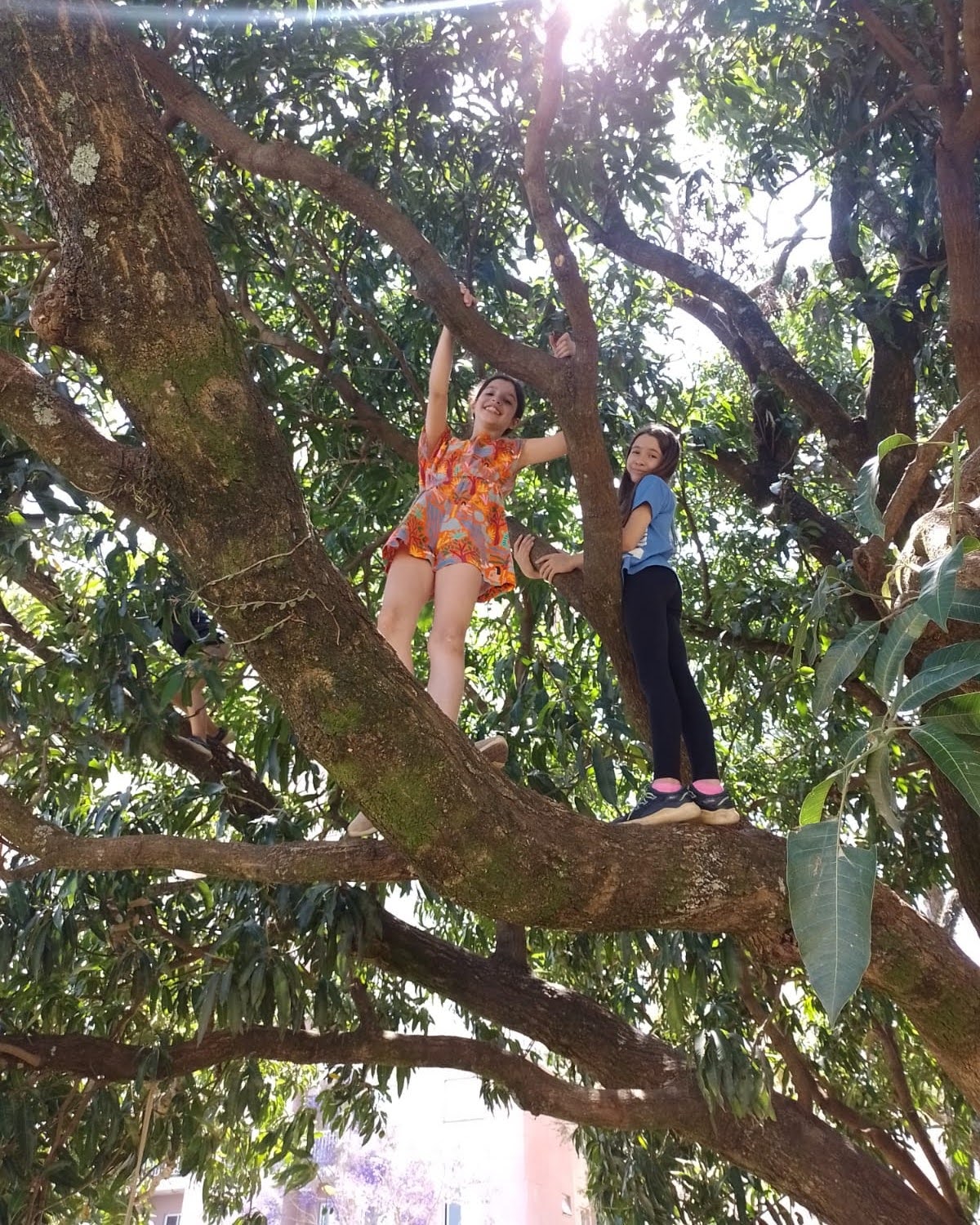Vivência ao ar livre na escola