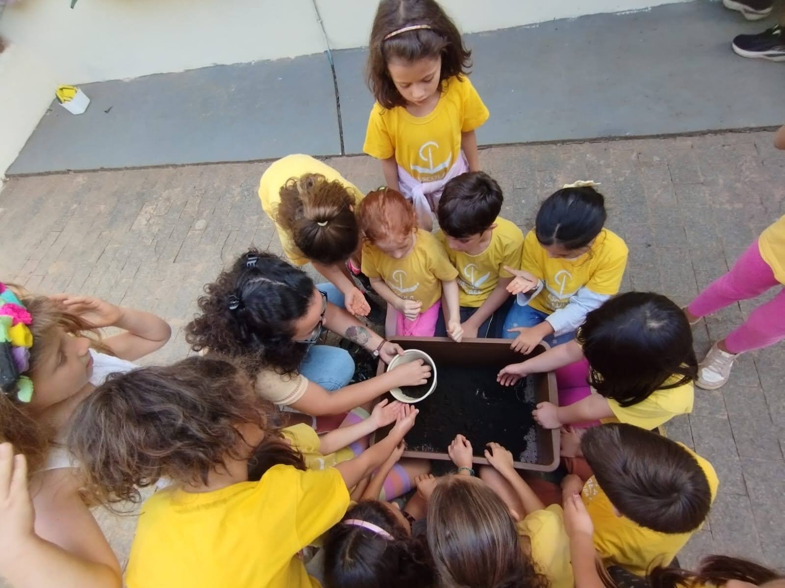 Observação e experimentação no fundamental